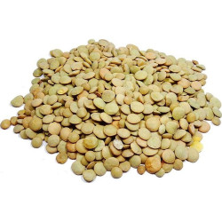 LENTILLE VERTE 12X500G